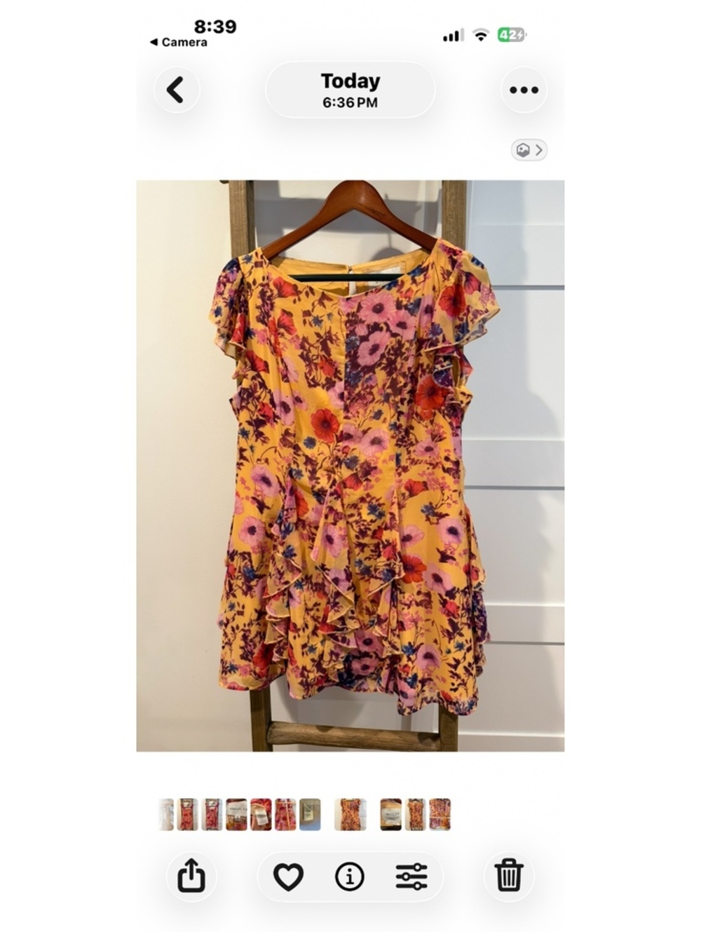BHLDN SLEEVELESS RUFFLED CHIFFON MINI DRESS - Picture 5 of 8